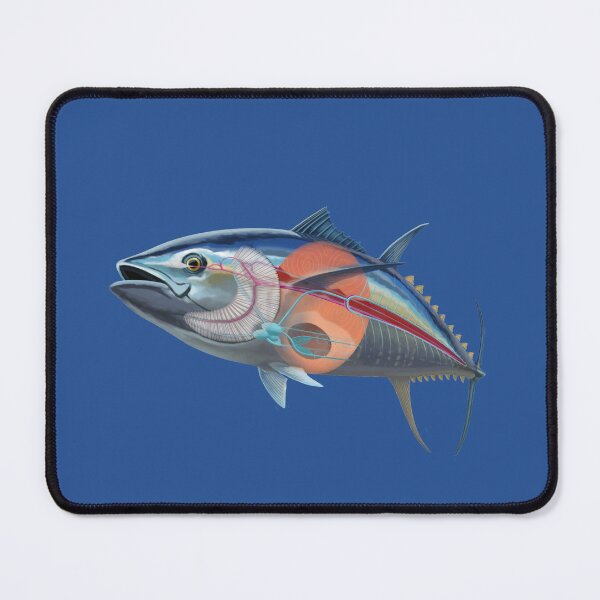 Item preview, Tuna Fish Anatomy designed and sold by LeoXiang.