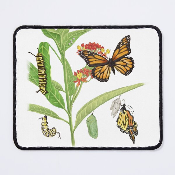 Item preview, Monarch Butterfly designed and sold by LeoXiang.