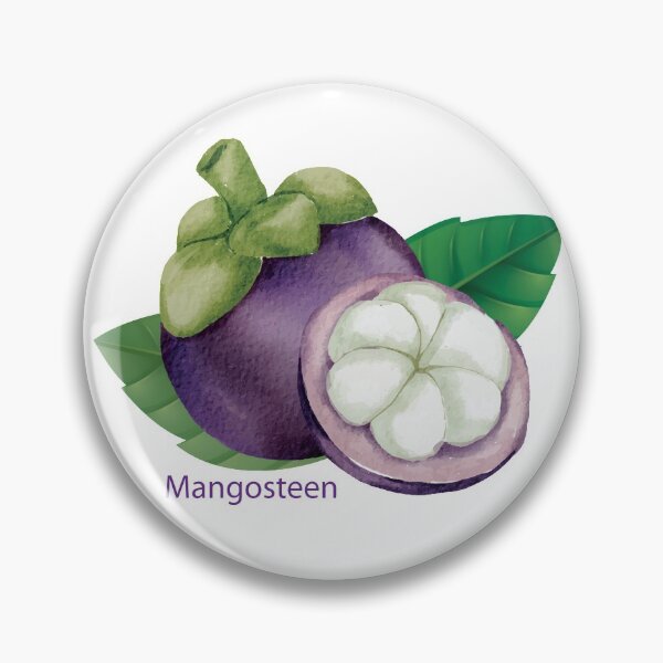 Item preview, Mangosteen Garcinia Mangostana designed and sold by Muzmeu.