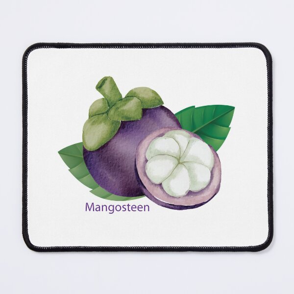 Item preview, Mangosteen Garcinia Mangostana designed and sold by Muzmeu.