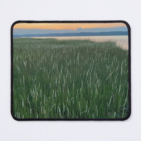 Item preview, Winnapaug Salt Pond designed and sold by Silvalization.