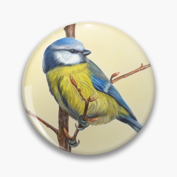 Item preview, Blue and Yellow Bird in colored pencil designed and sold by rosemarydrawing.