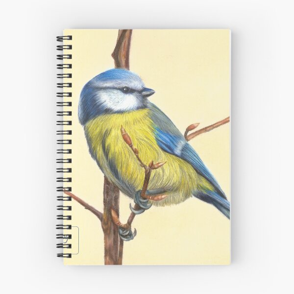Item preview, Pájaro azul y amarillo en lápiz de color designed and sold by rosemarydrawing.