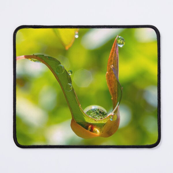 Item preview, Cuped Tiny Leaf and Water Droplet designed and sold by HectorCantres.