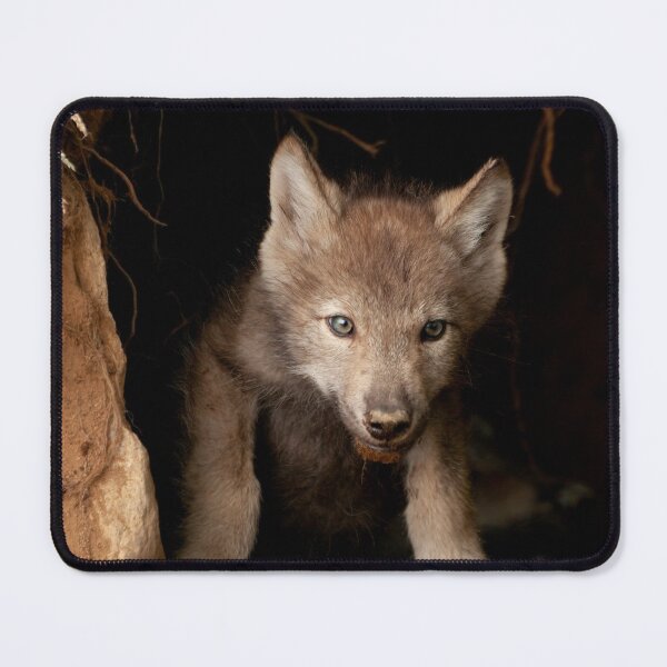 Item preview, Eastern Wolf Pup designed and sold by Michael Cummings.