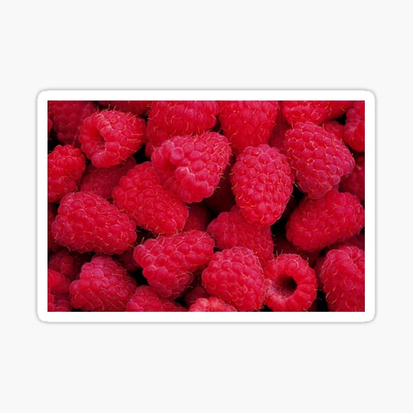 Artikel-Vorschau von Himbeeren, designt und verkauft von Erika Kaisersot.