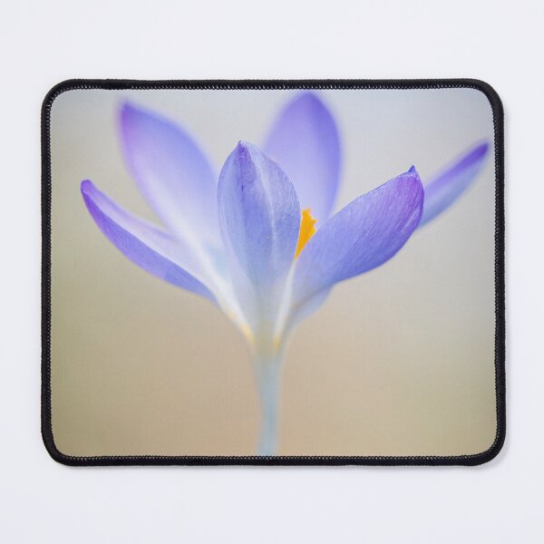 Item preview, Purple Crocus with Soft Focus designed and sold by Tony North.