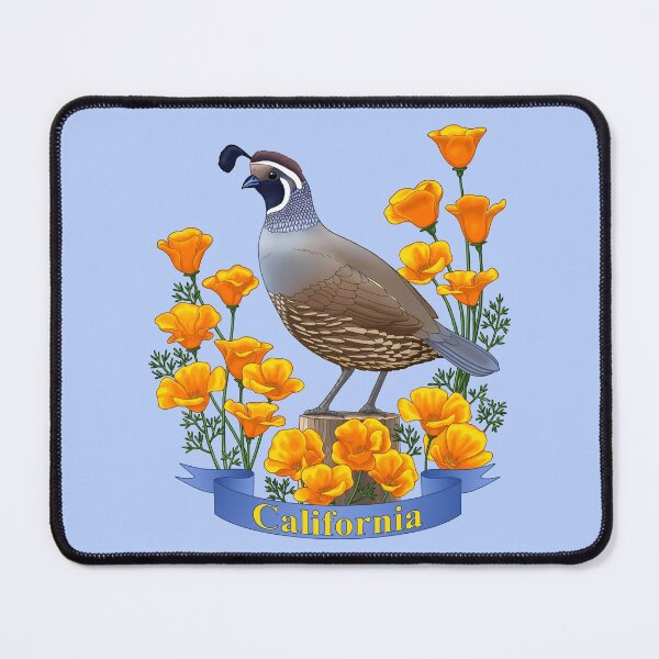Item preview, California State Bird and Flower Quail and Golden Poppy designed and sold by csforest.