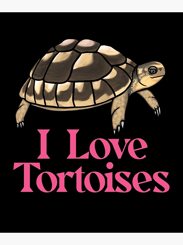 "I Love Tortoises for Tortoise Lovers, Pink" Poster for Sale by Mochi