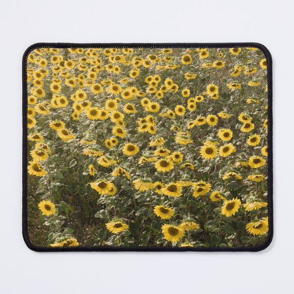 Item preview, Sunflower field designed and sold by MarioGuti.