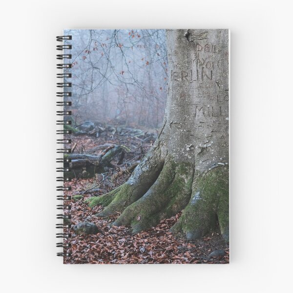 Item preview, Savernake Graffiti designed and sold by dagabhriel.
