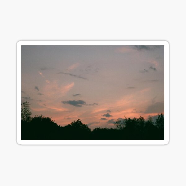 behind the trees - 35mm Sticker