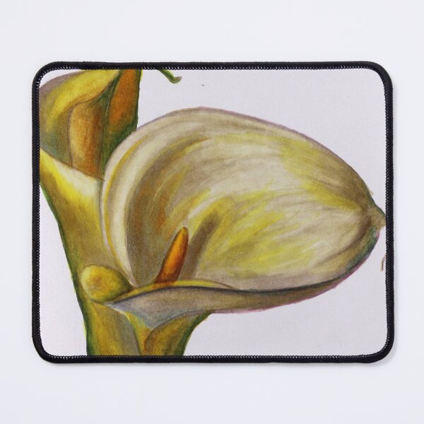 Artikelvorschau, Weiße Calla-Lilien-Blumen-Skizzen-Illustrations-Kunst von Helen Berk entworfen und verkauft von HelenBerkArt.
