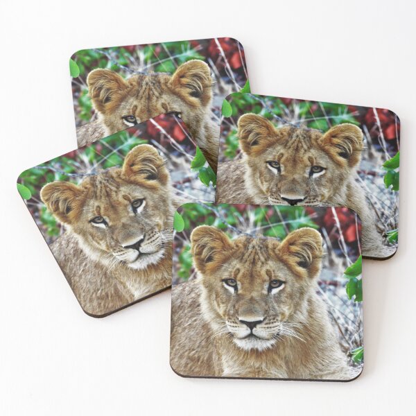Item preview, Simba, future jungle king designed and sold by Maniki SA.