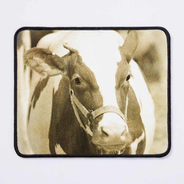 Item preview, Don't Call Me Bessie designed and sold by VDUBYA.