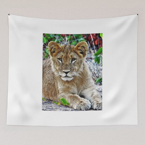 Item preview, Simba, future jungle king designed and sold by Maniki SA.