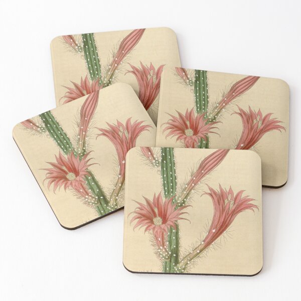 Item preview, Curtis's botanical magazine (Plate 3768) (9126642091) designed and sold by EsotericBotanic.