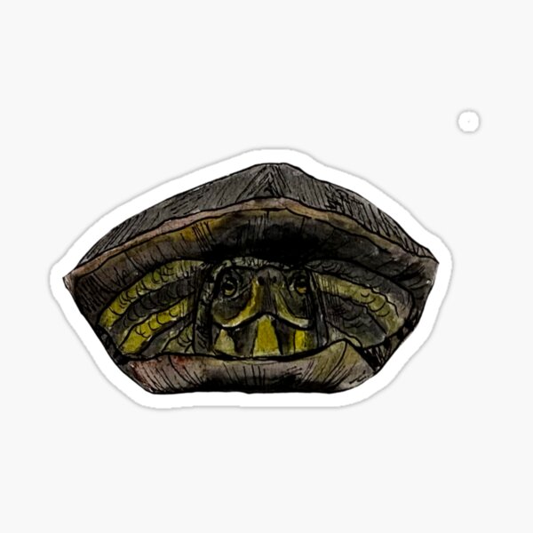 Mary River Turtle Merch & Gifts for Sale