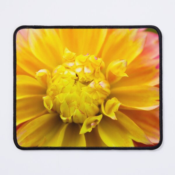 Item preview, Dahlia designed and sold by William Franklin-Cromwell.