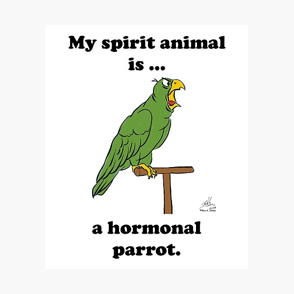 My Spirit Animal is a Hormonal Parrot Male My Spirit Animal is a Hormonal Parrot Male
