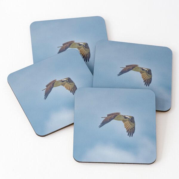 Item preview, Osprey in flight designed and sold by KDartisticeye.