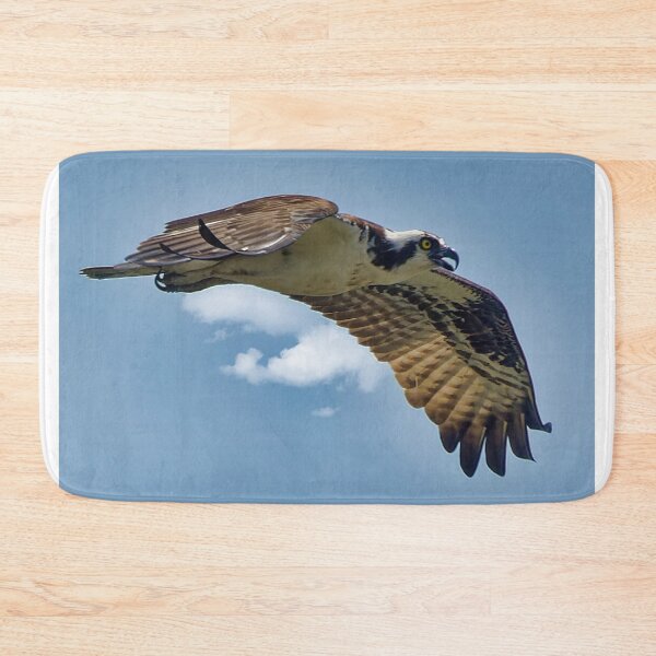 Item preview, Osprey in flight designed and sold by KDartisticeye.