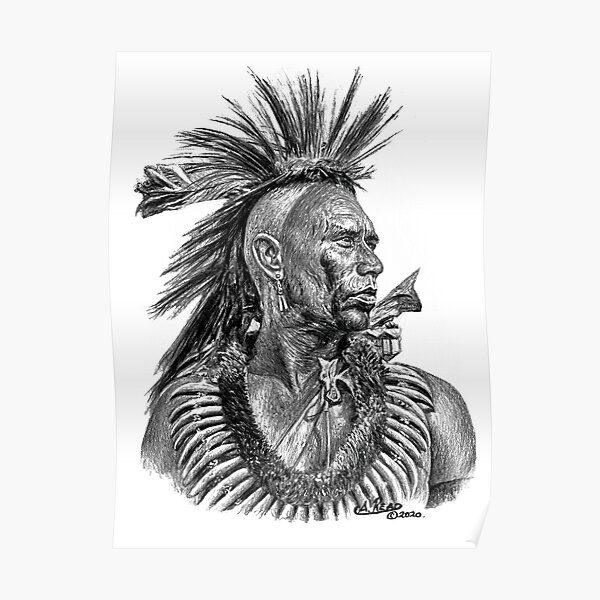 &ldquo;Wes Studi&rdquo; Poster for Sale by arfineart | Redbubble