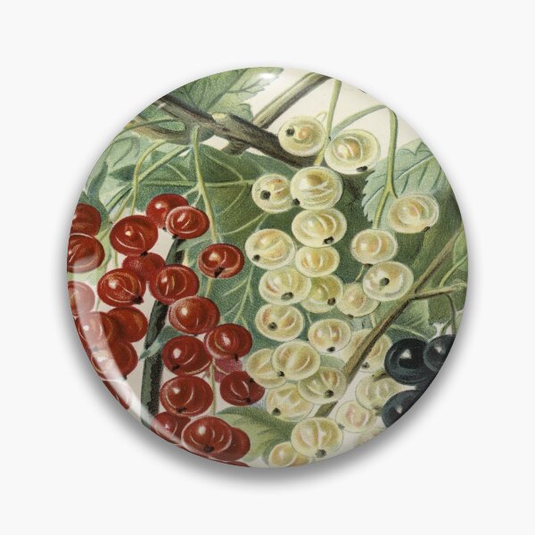Item preview, A Currant Affair designed and sold by ZinZoe.