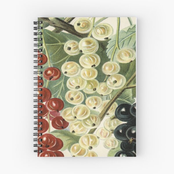 Item preview, A Currant Affair designed and sold by ZinZoe.
