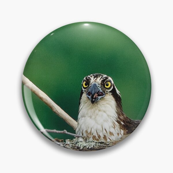 Item preview, Osprey in platform nest designed and sold by KDartisticeye.