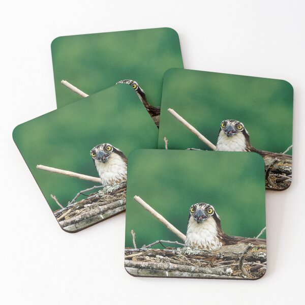 Item preview, Osprey in platform nest designed and sold by KDartisticeye.