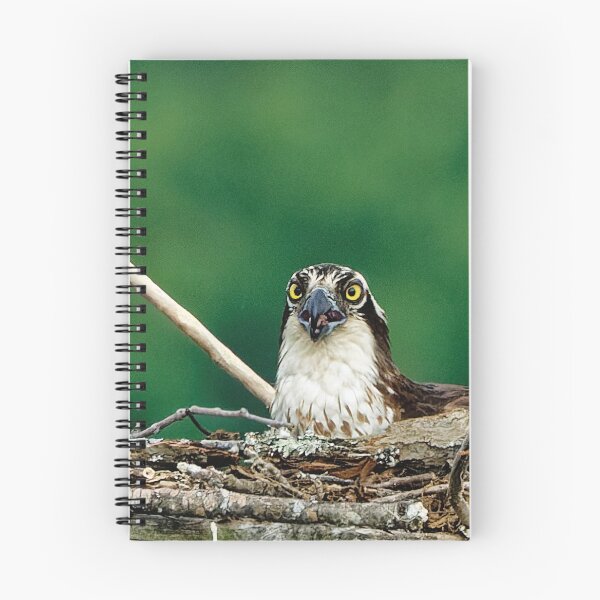 Item preview, Osprey in platform nest designed and sold by KDartisticeye.