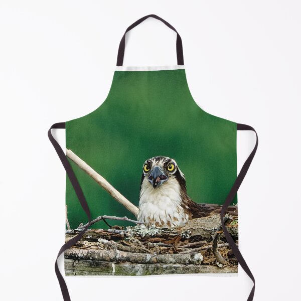Item preview, Osprey in platform nest designed and sold by KDartisticeye.