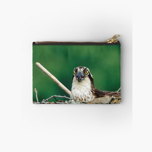 Item preview, Osprey in platform nest designed and sold by KDartisticeye.