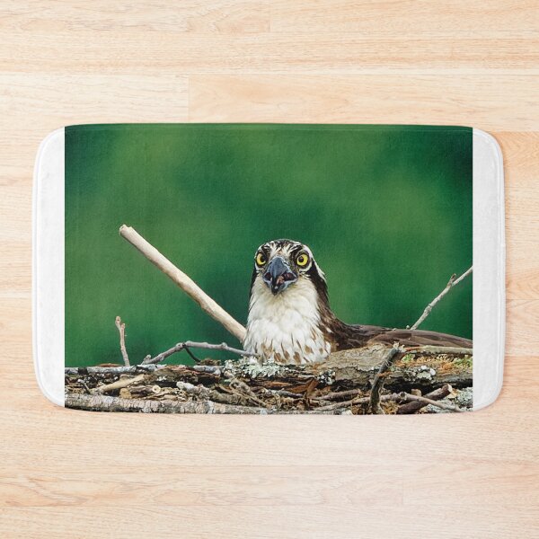 Item preview, Osprey in platform nest designed and sold by KDartisticeye.
