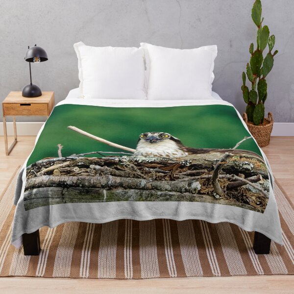 Item preview, Osprey in platform nest designed and sold by KDartisticeye.