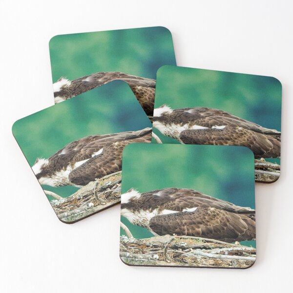 Item preview, Osprey in nest designed and sold by KDartisticeye.