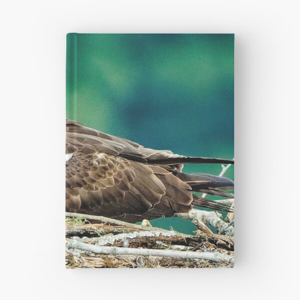 Item preview, Osprey in nest designed and sold by KDartisticeye.