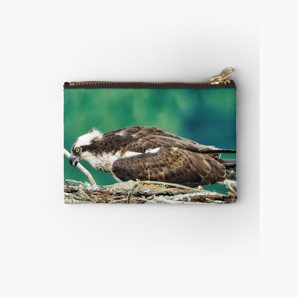 Item preview, Osprey in nest designed and sold by KDartisticeye.