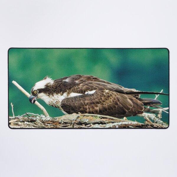 Item preview, Osprey in nest designed and sold by KDartisticeye.