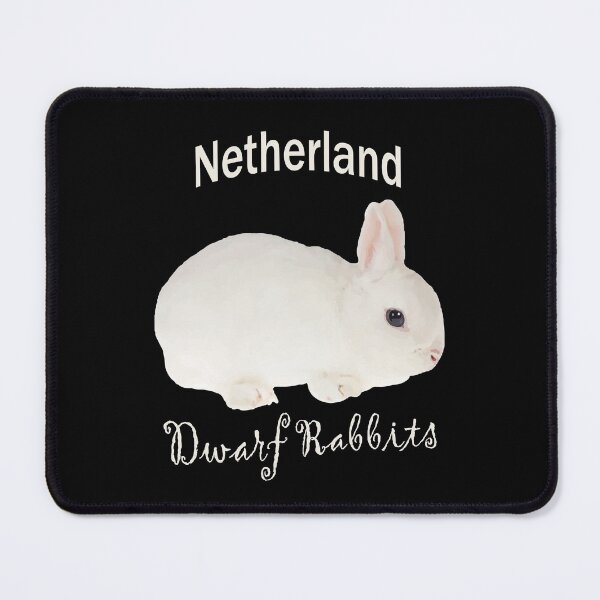 dwarf bunny accessories