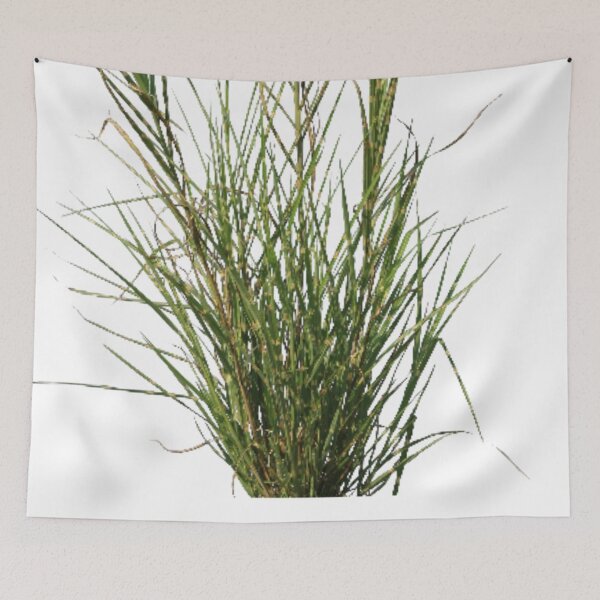 Item preview, Design of green grass designed and sold by VIVEK KUMAR RAI.