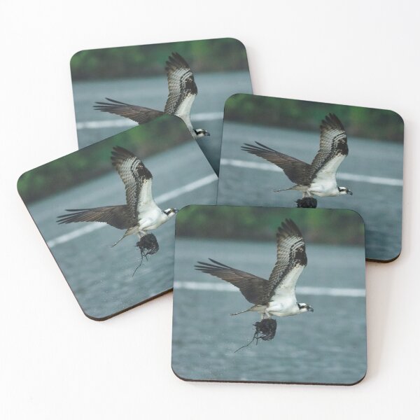 Item preview, Osprey in flight designed and sold by KDartisticeye.