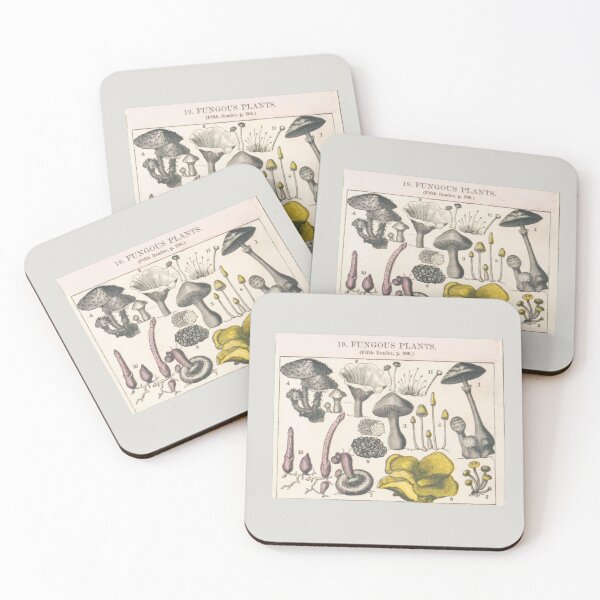 Item preview, Functional Fungi Vintage Botanical Chart designed and sold by ZinZoe.