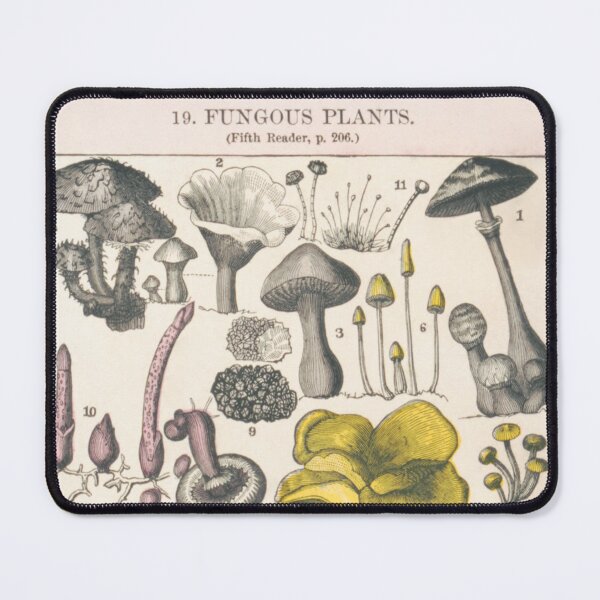 Item preview, Functional Fungi Vintage Botanical Chart designed and sold by ZinZoe.