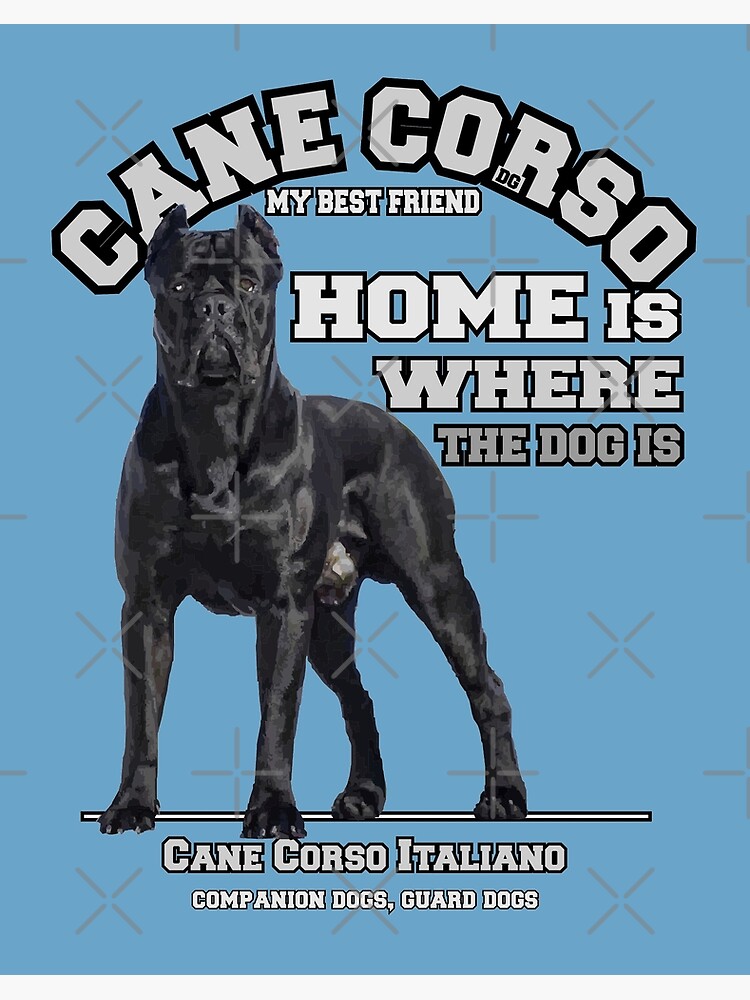 47 Things You Should To Know Before Owing A Cane Corso