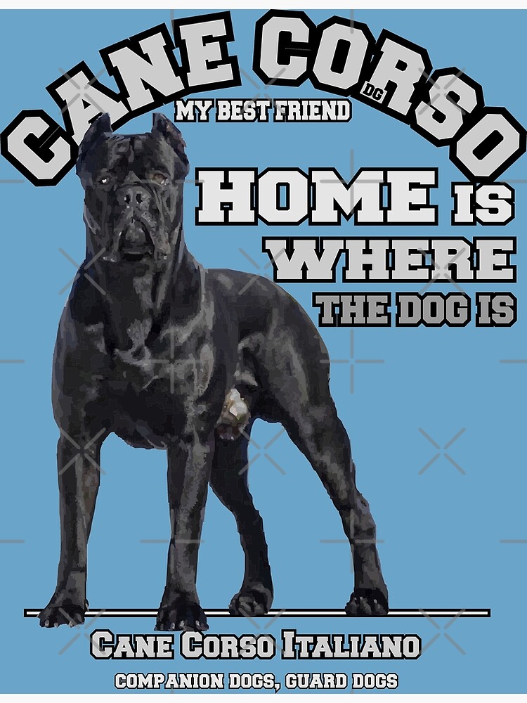 What To Buy For A Cane Corso Puppy?, by Dog Lovers Club