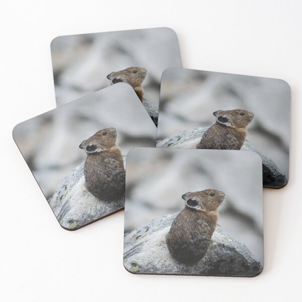 Item preview, Pika Party designed and sold by Oasiumoutdoors.