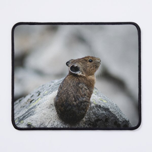 Item preview, Pika Party designed and sold by Oasiumoutdoors.