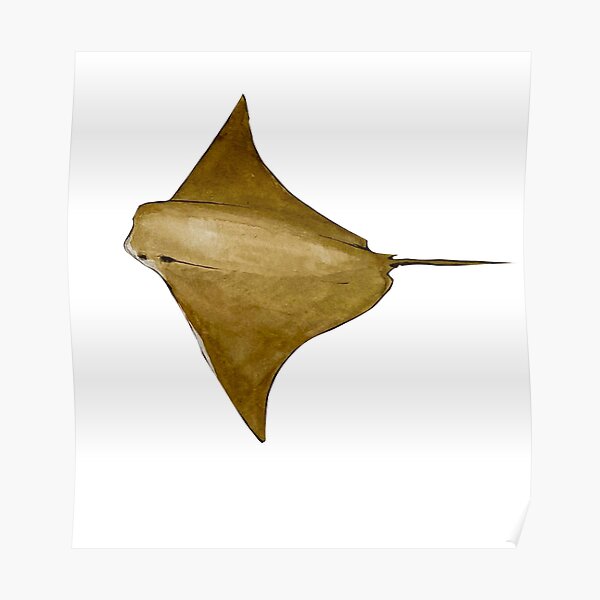 &ldquo;Cownose Ray&rdquo; Poster for Sale by Junegirlart | Redbubble